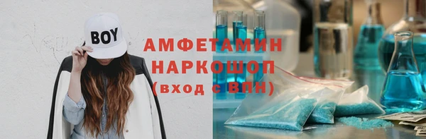 шишки Алзамай