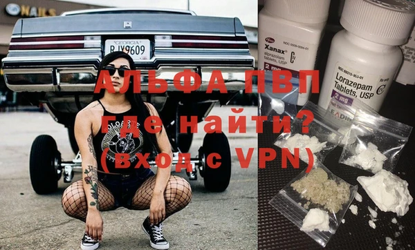 шишки Алзамай