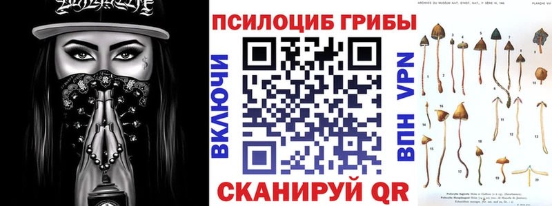 это Telegram  Удомля  Галлюциногенные грибы Psilocybine cubensis 