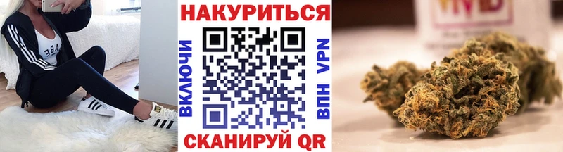 Каннабис план  Удомля 